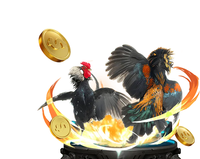 Lịch sử phát triển BK8, B8K